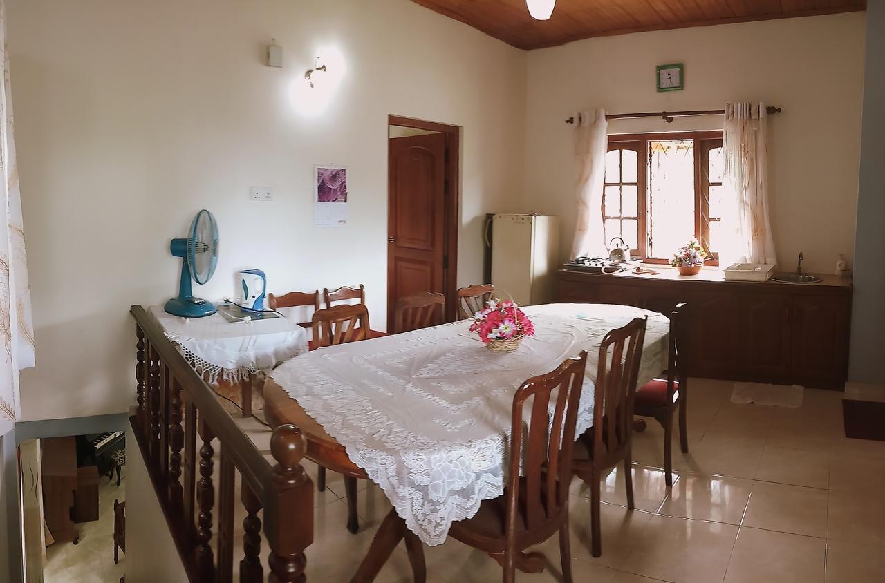 Stayكاندي المظهر الخارجي الصورة